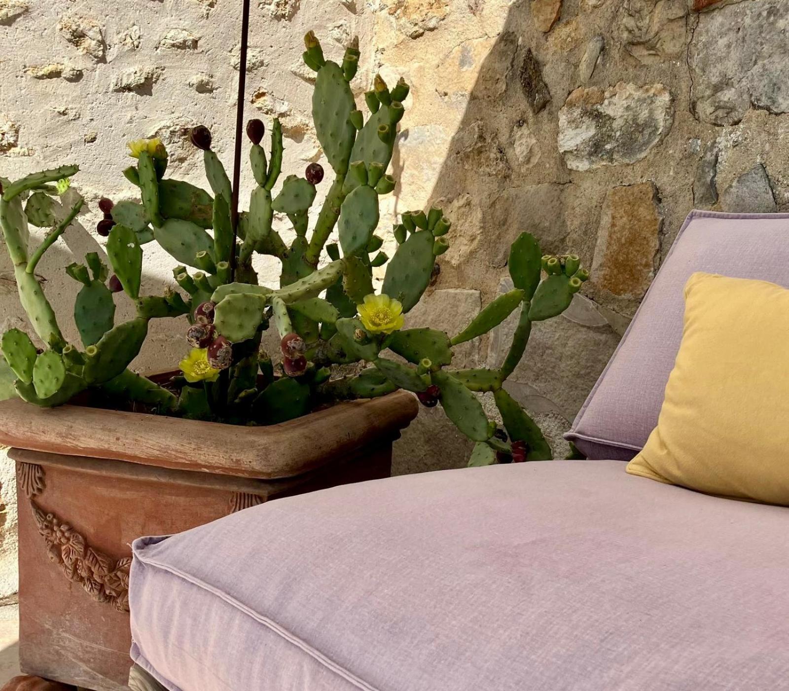 Casa La Rosa & Spa Courdimanche-sur-Essonnes Extérieur photo